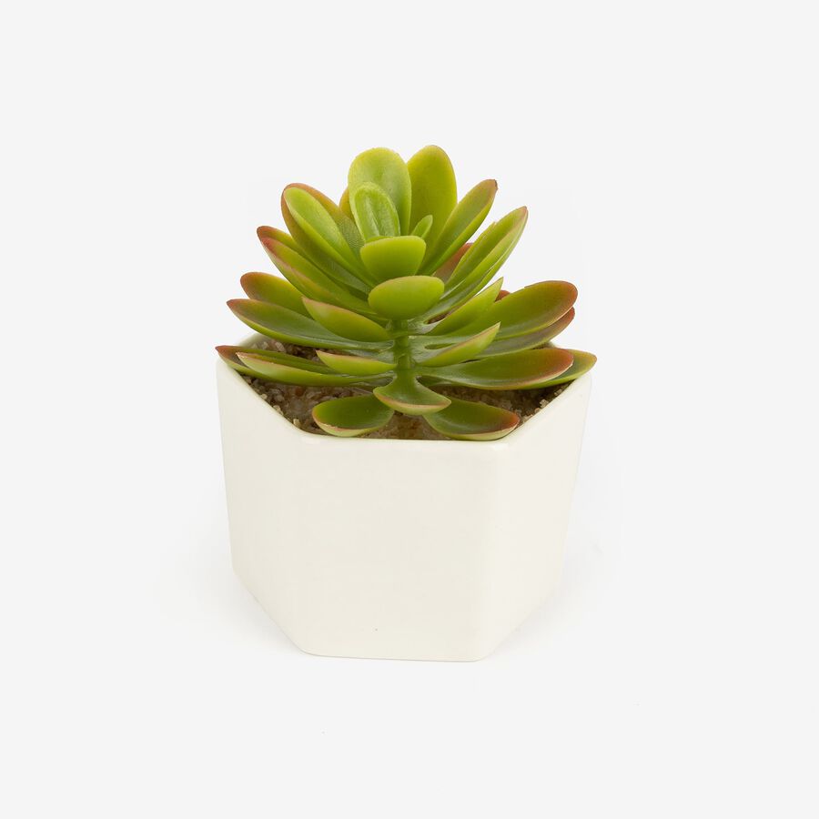 Cactus artificial con maceta en varios diseños 10cm