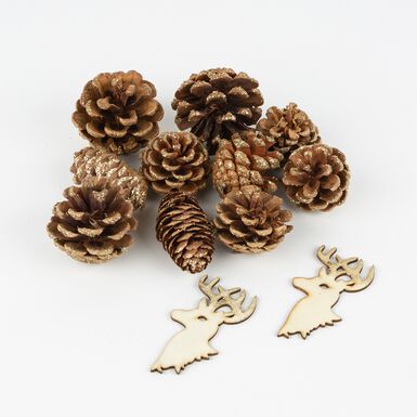 Bolsa de pi&ntilde;as y bayas