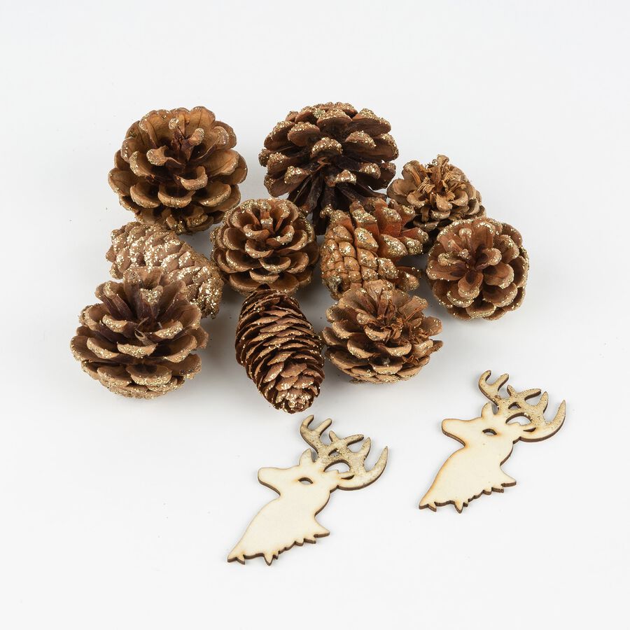 Bolsa de pi&ntilde;as y bayas