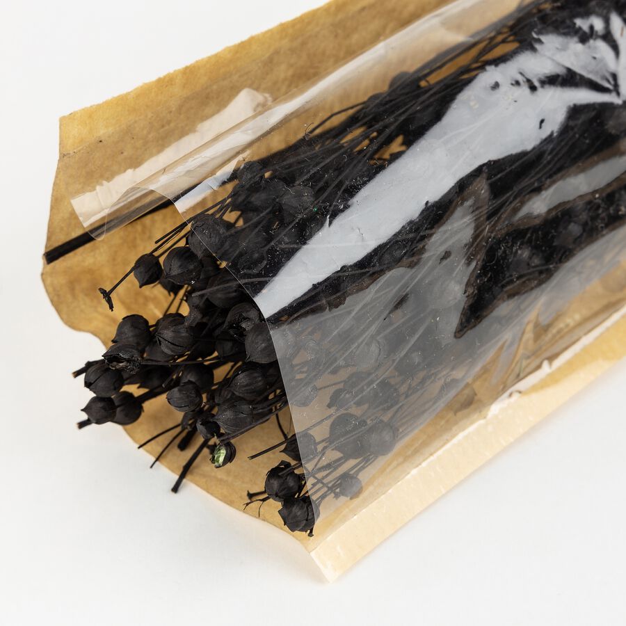 Ramo de flores secas en varios modelos 45cm