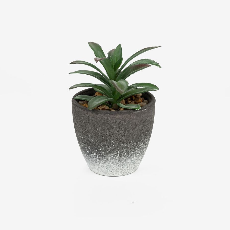 Cactus artificial en varios dise&ntilde;os 10cm