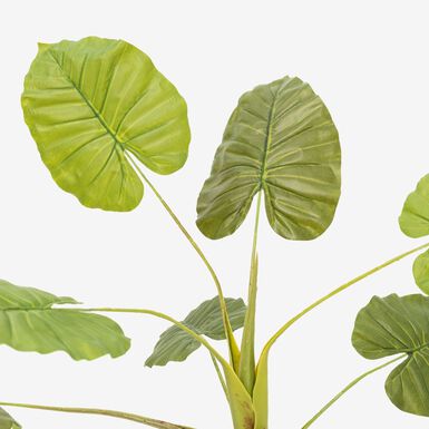 Alocasia artificial en maceta 110cm