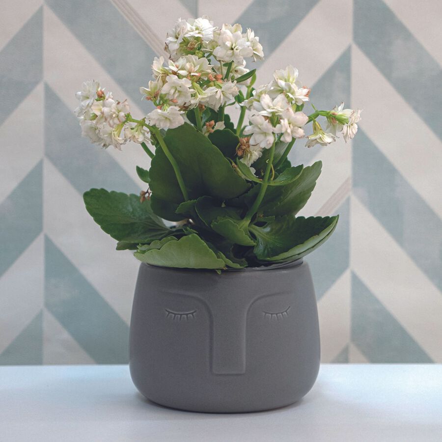 Macetero de cerámica negro Ajanu Ø13x11cm