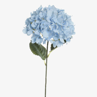 Vara de hortensia azul 60cm