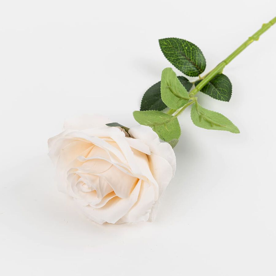 Vara rosa salm&oacute;n 51cm