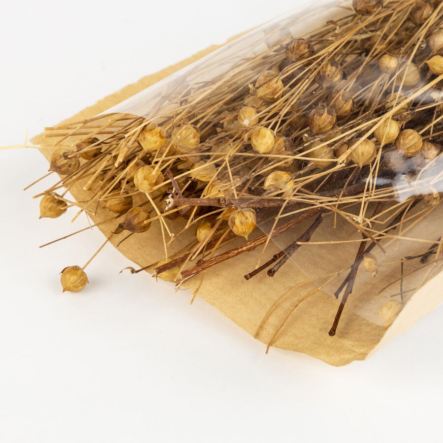 Ramo de flores secas en varios modelos 45cm