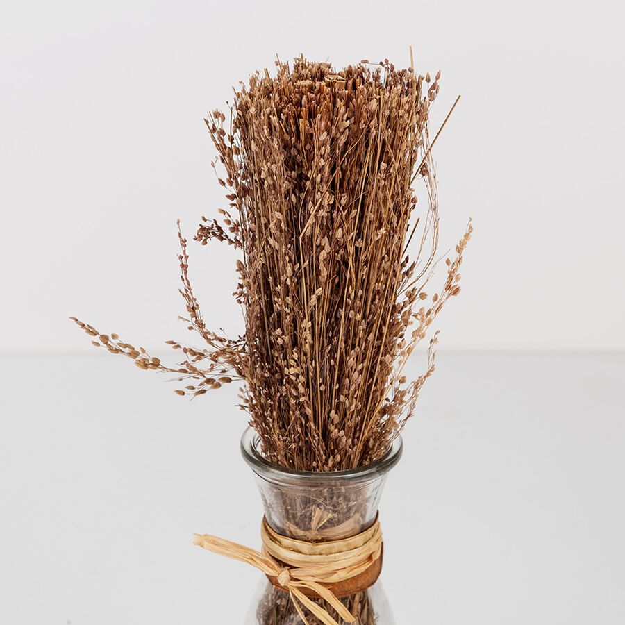 Jarr&oacute;n de cristal con hierba decorativa