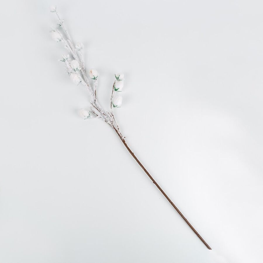 Rama de algodón 100cm