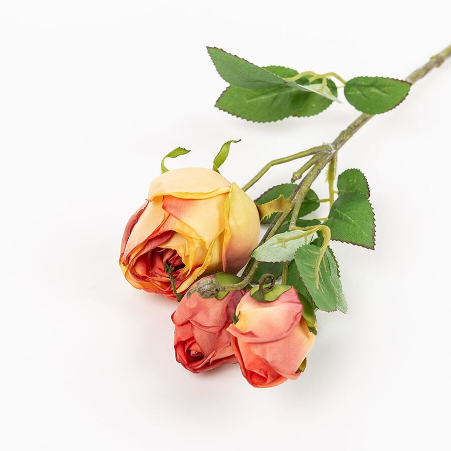 Vara ranunculus naranja