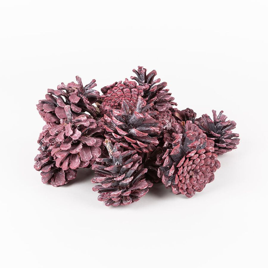 Bolsa piñas 300g surtida