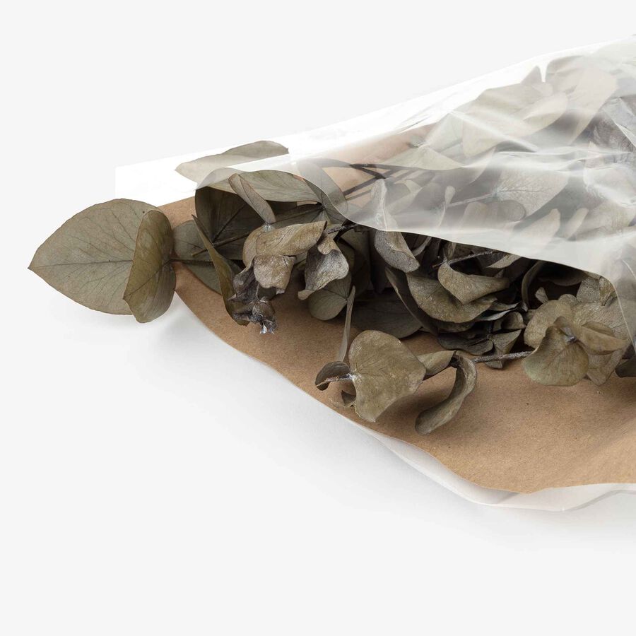 Ramo de eucalipto verde 56cm