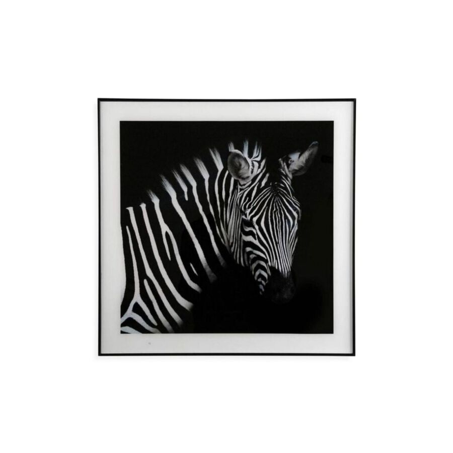 Cuadro con marco y cristal Zebra 50x50cm