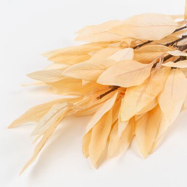 Rama de laurel beige