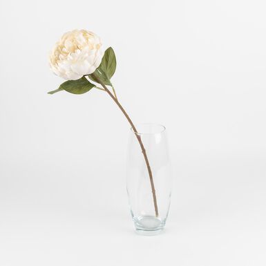 Flor peonia otoñal blanca