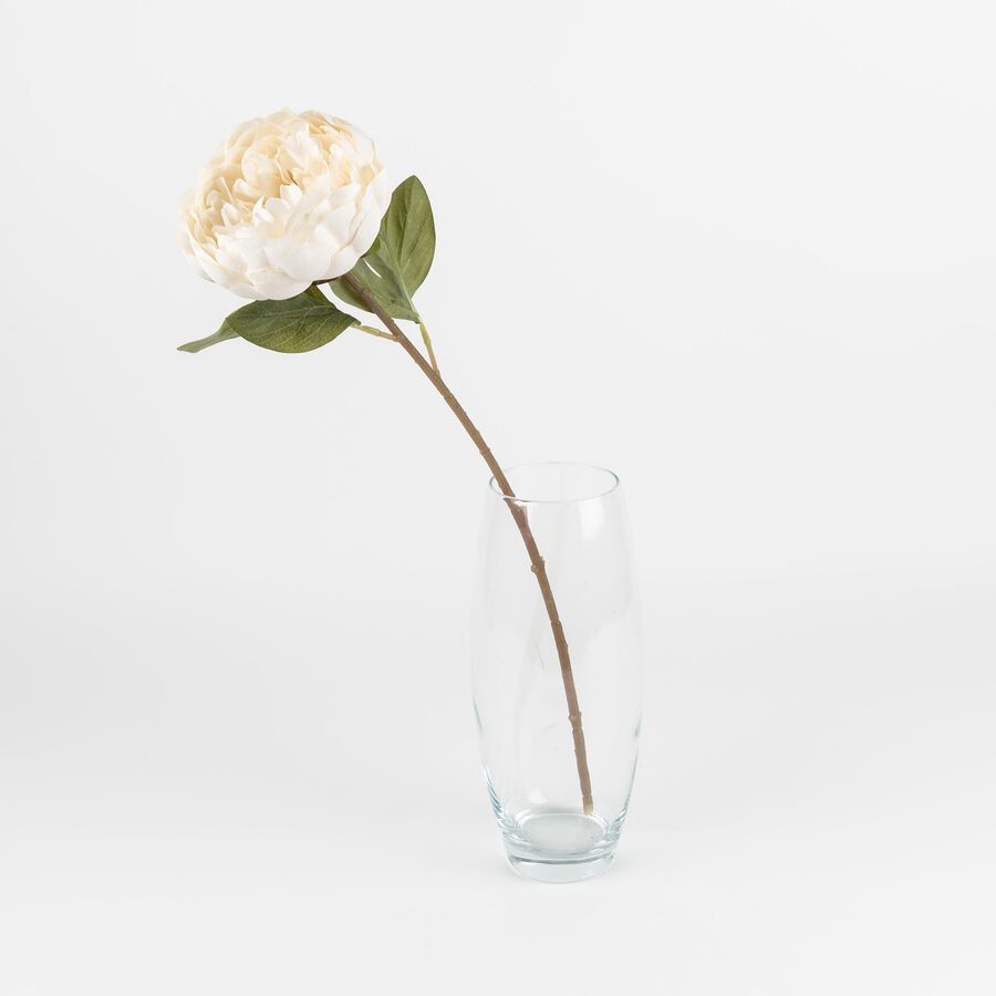 Flor peonia otoñal blanca