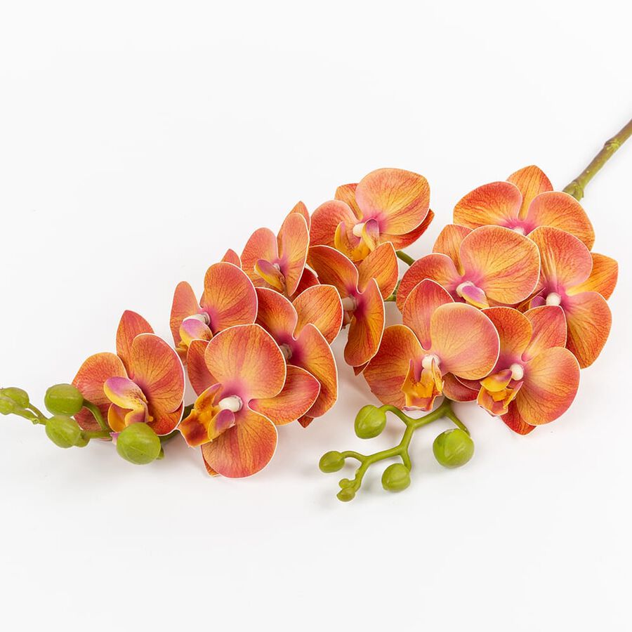 Vara orquidea mini naranja 64cm