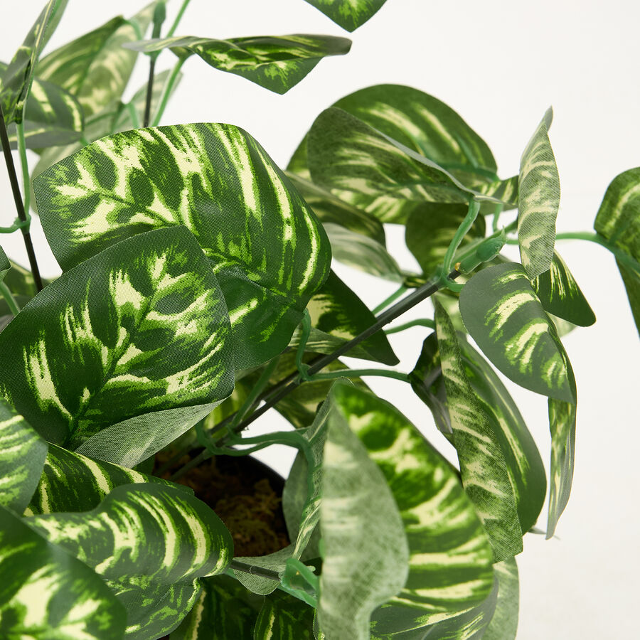 Planta artificial en maceta Calathea 45cm