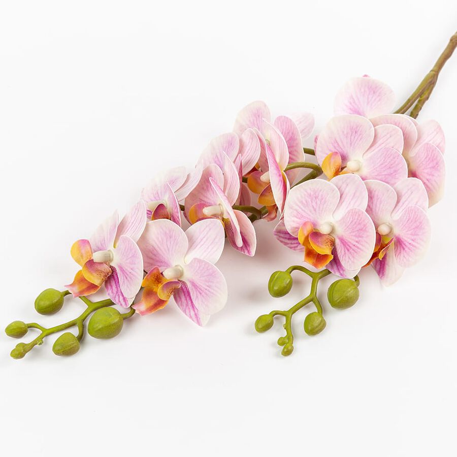 Vara orquidea mini rosa 64cm