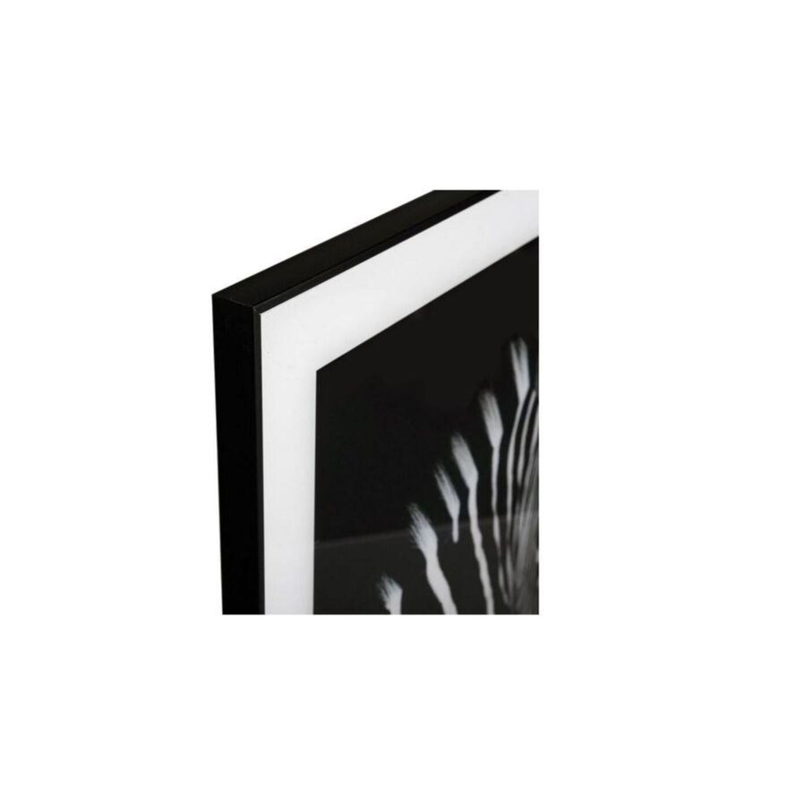 Cuadro con marco y cristal Zebra 50x50cm