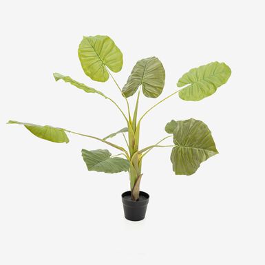 Alocasia artificial en maceta 110cm