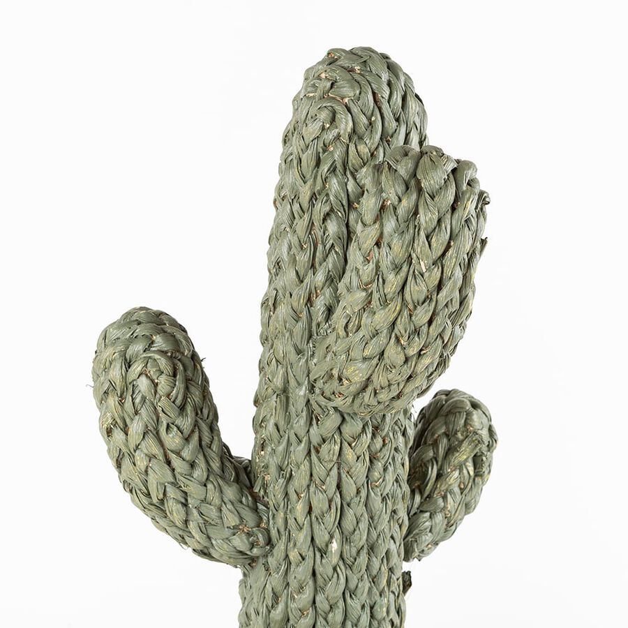 Cactus de cuerda en maceta 2 modelos a elegir 50x15cm