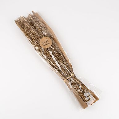 Ramo de ramas secas natural