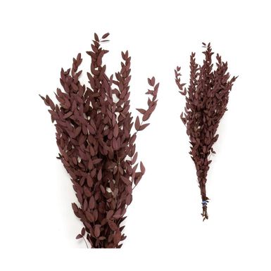 Ramo de flor seca eucalipto p&uacute;rpura 60cm