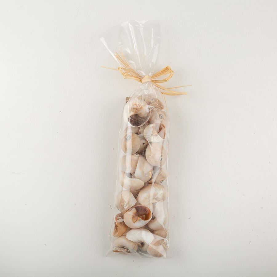 Bolsa caracolas decorativas