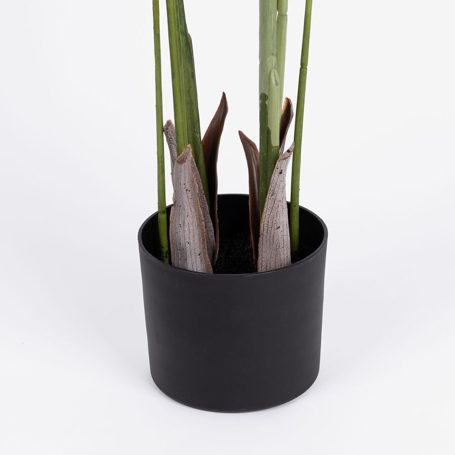Planta ave del para&iacute;so artificial en maceta 130 cm