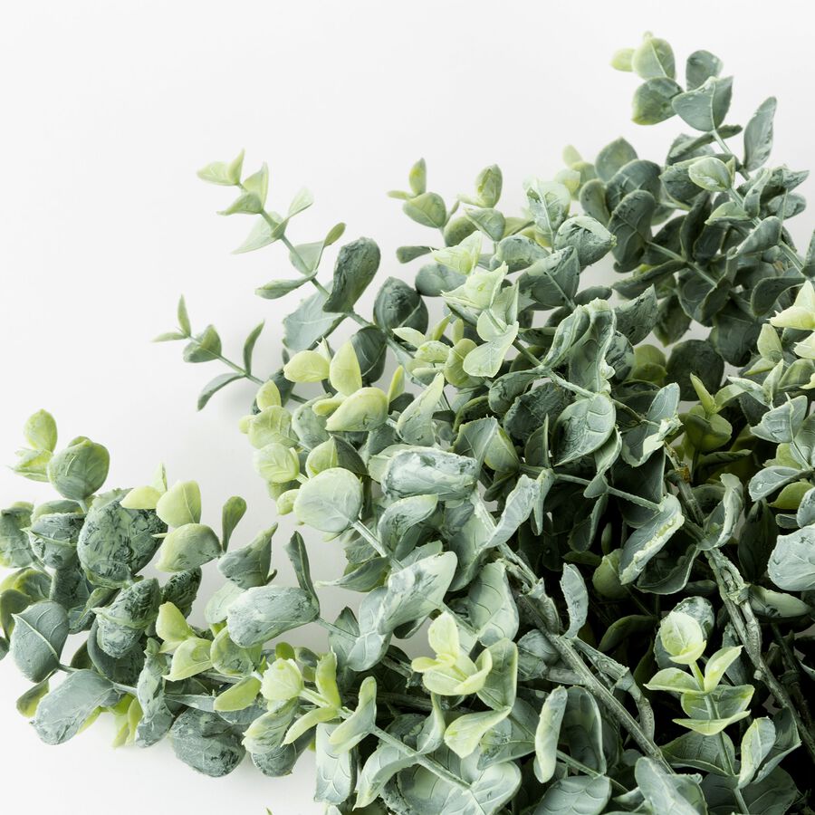 Rama de eucalipto 64cm