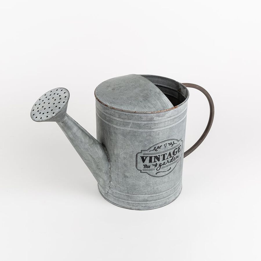 Regadera Zinc 41x18x25cm