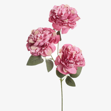 Vara de peon&iacute;a fucsia con 3 flores 60cm
