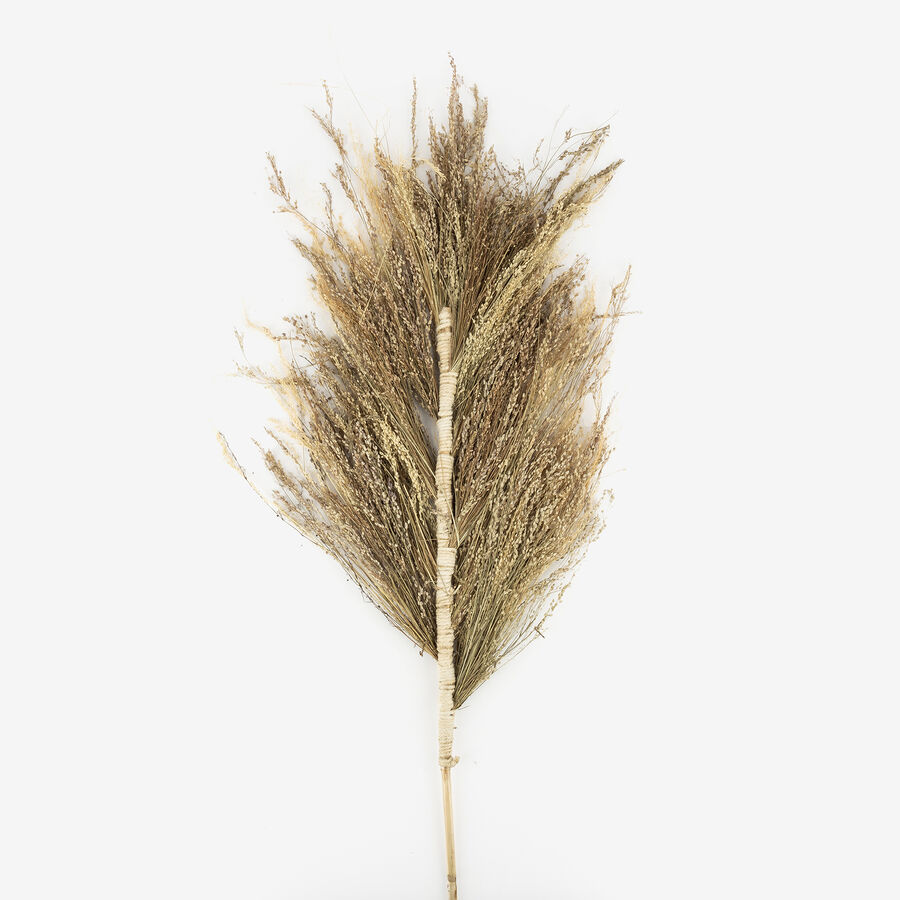 Rama flor seca espiga 150cm