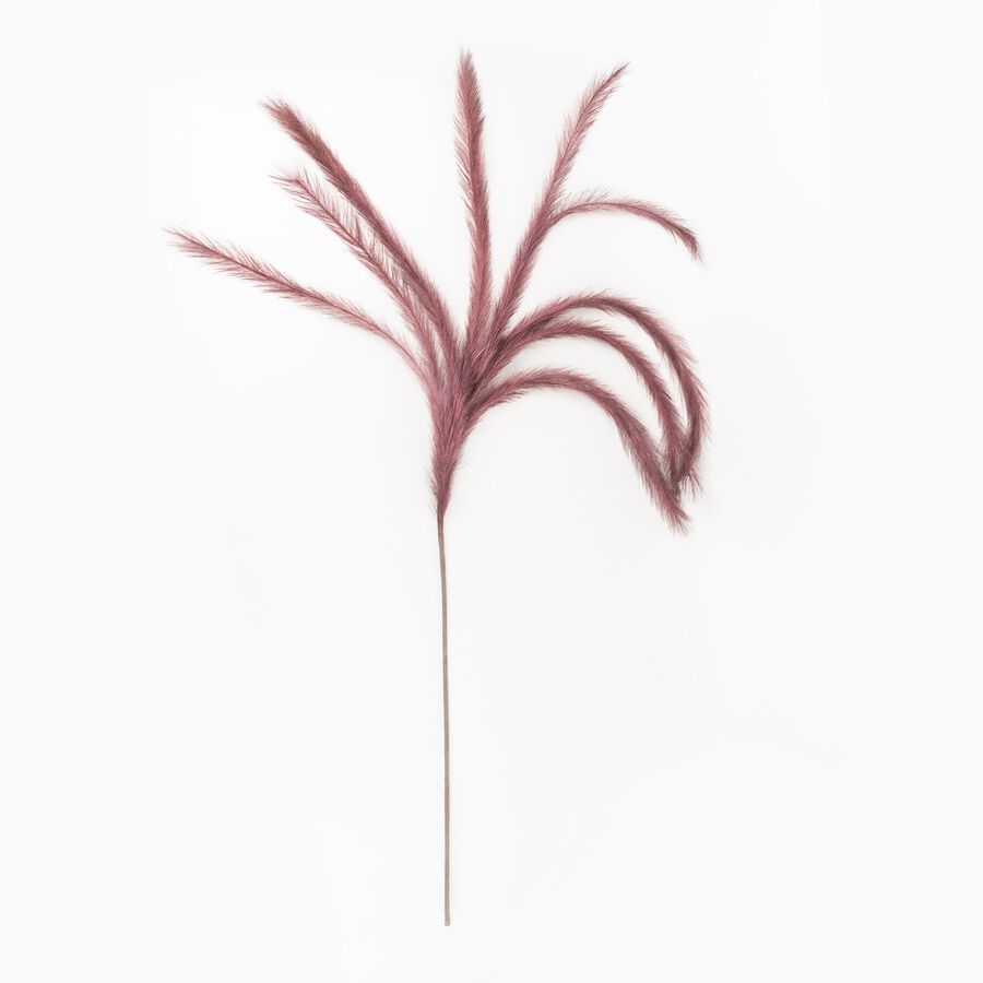 Vara pampa roja 130cm