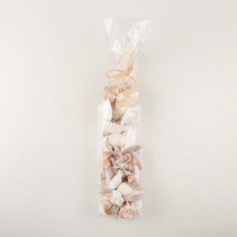 Bolsa caracolas decorativas