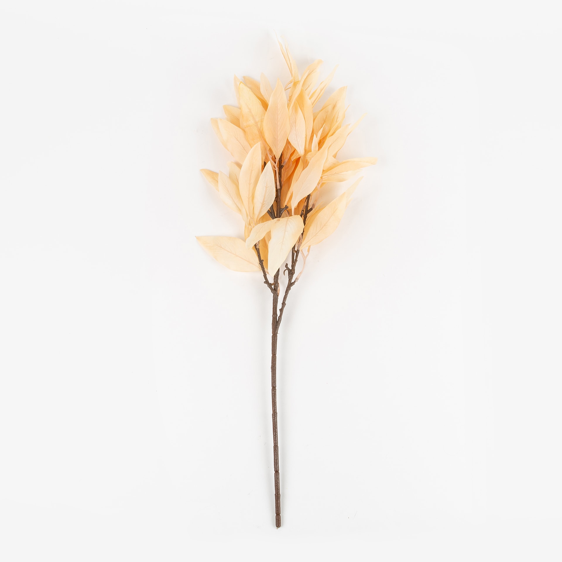 Rama de laurel beige