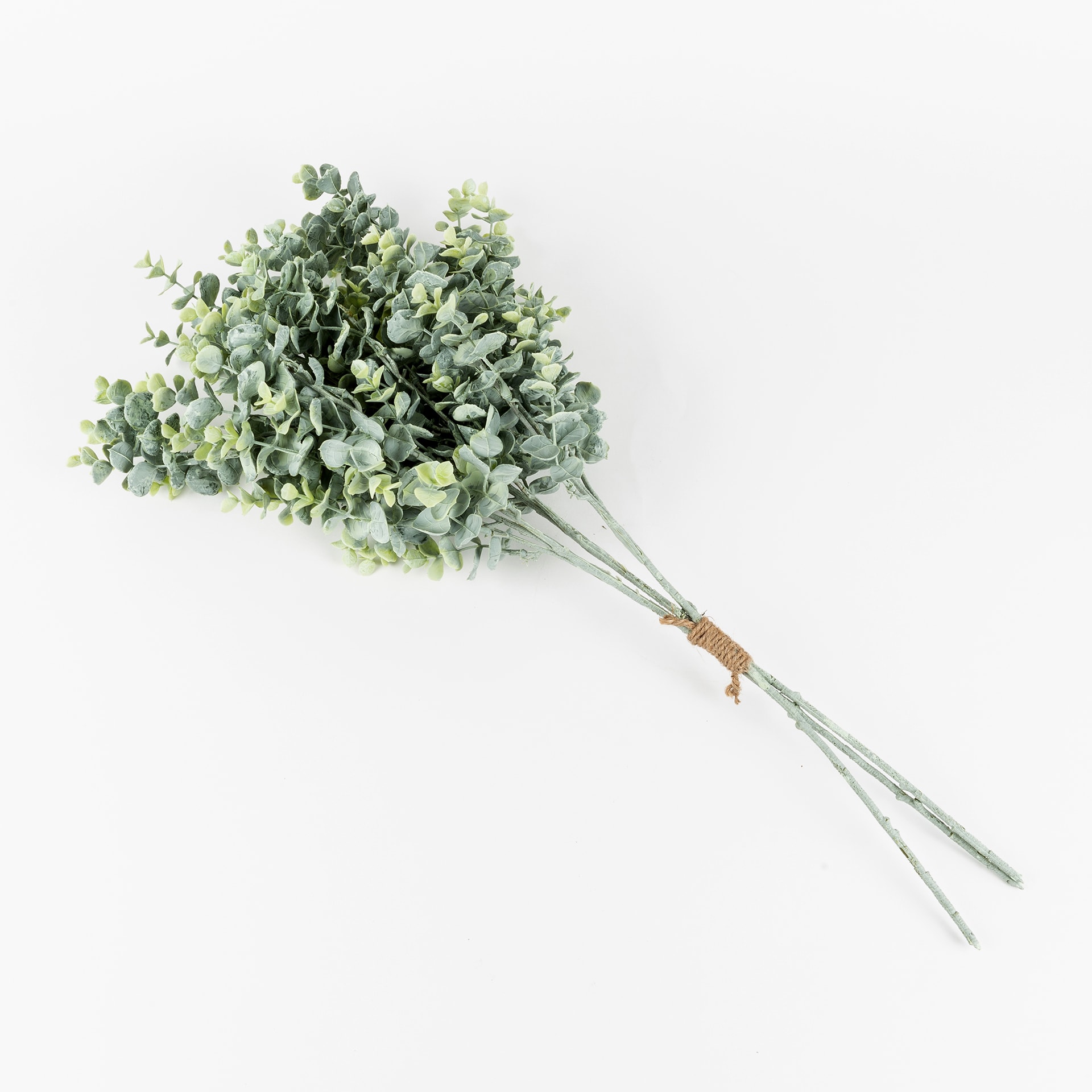 Rama de eucalipto 64cm