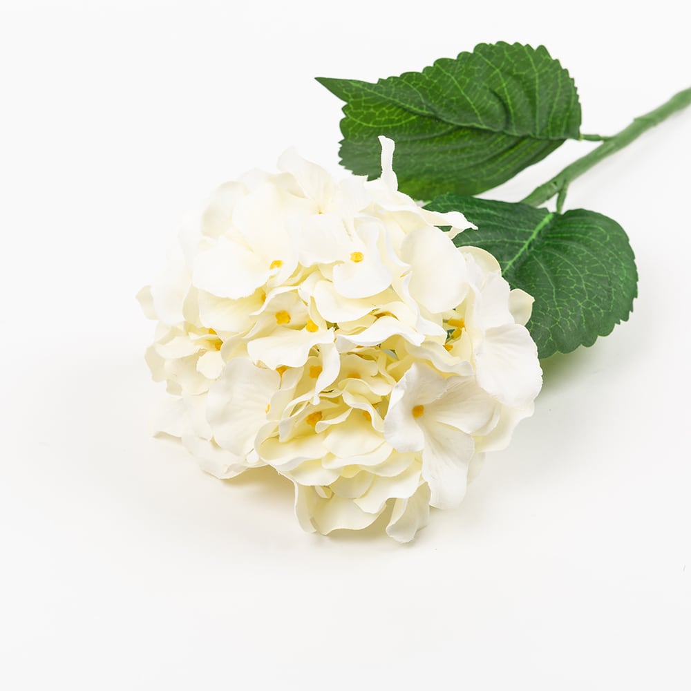 Vara hortensia blanca