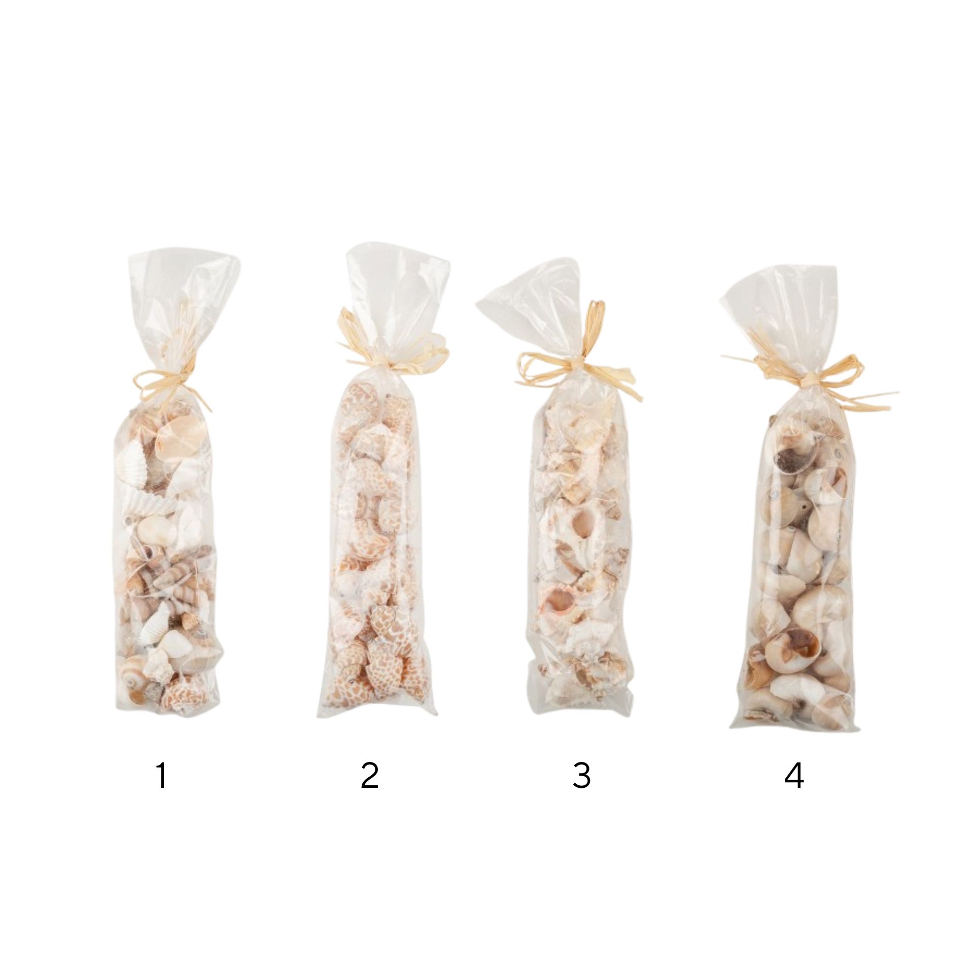 Bolsa caracolas decorativas