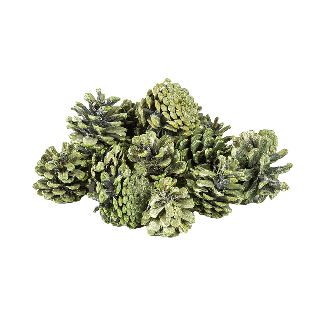 Bolsa piñas 300g surtida