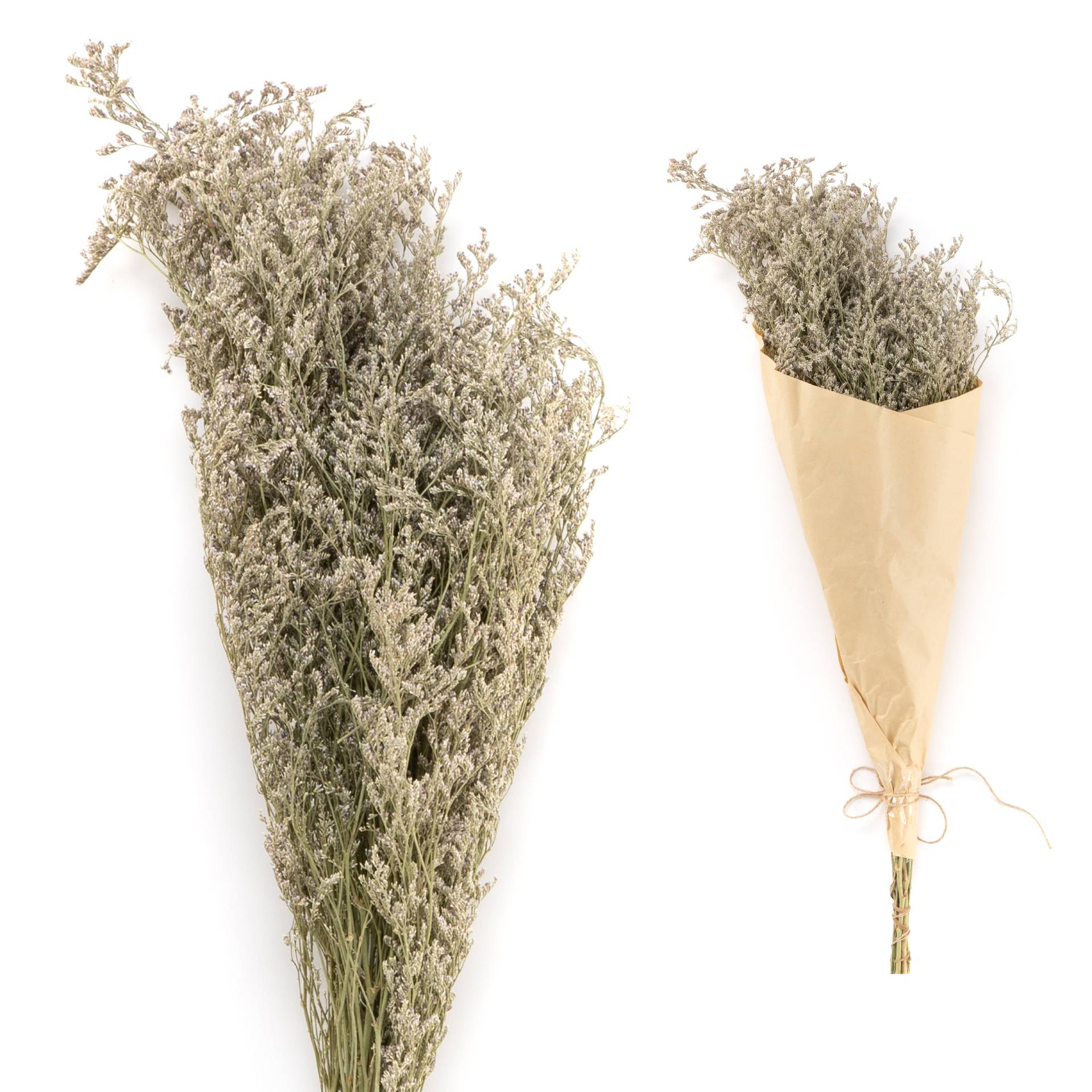 Ramo de flor seca hierba verde 70cm