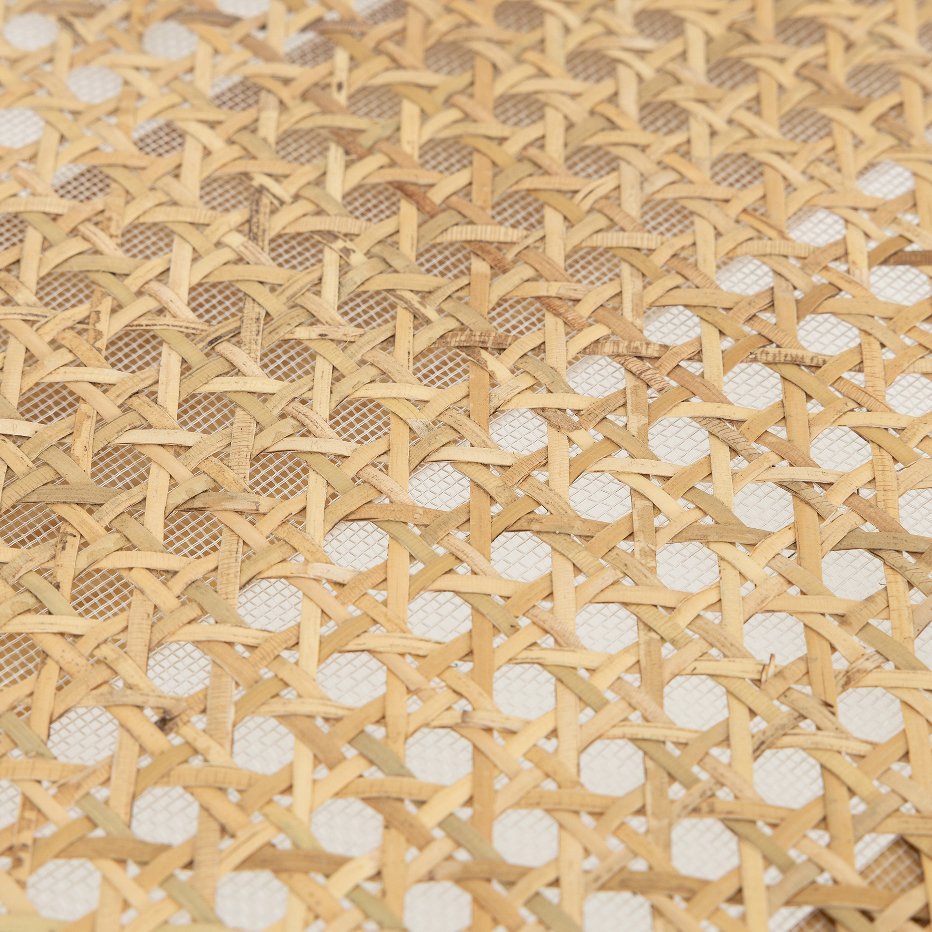 Silla plegable de madera de olmo Cecilia Clau&Chloe