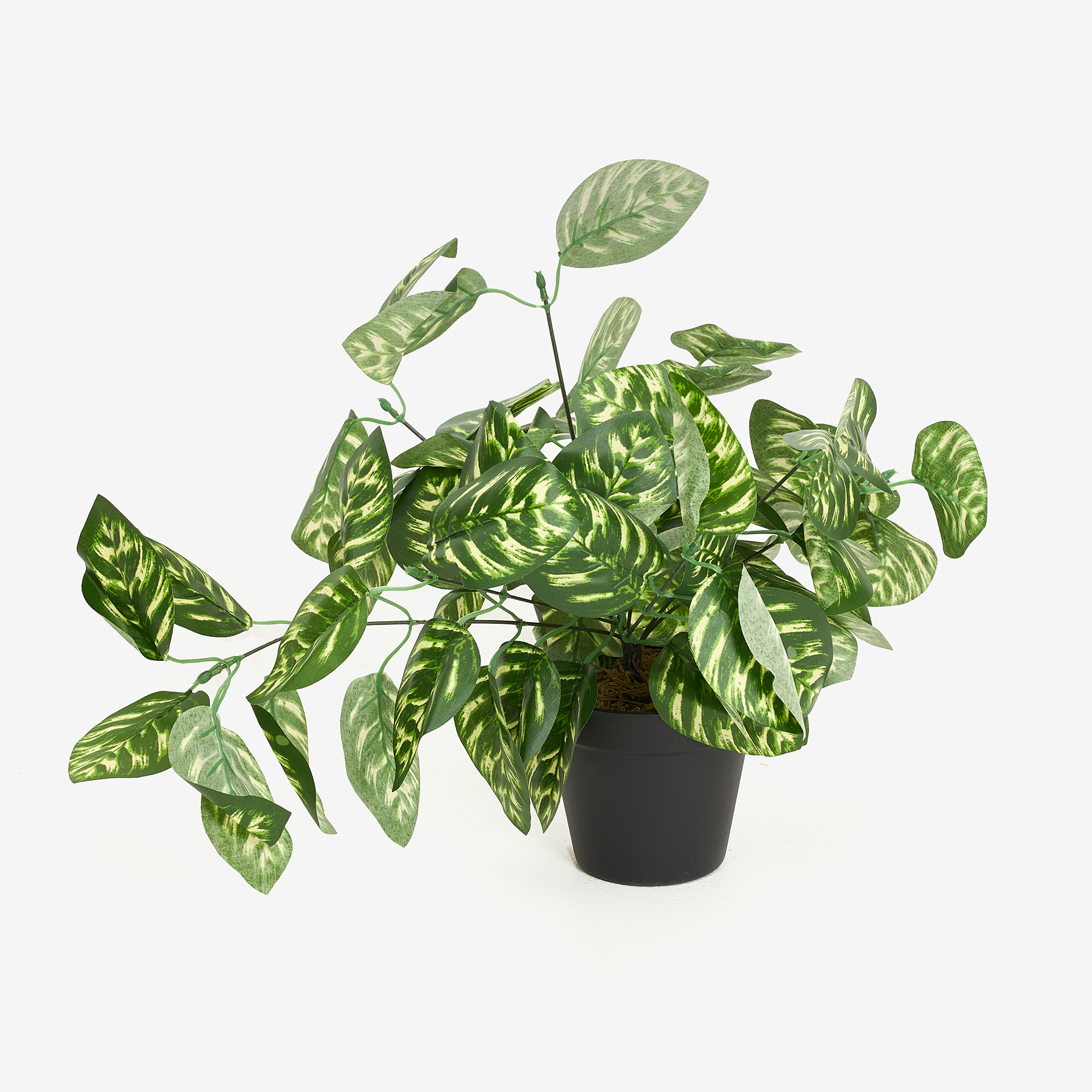Planta artificial en maceta Calathea 45cm