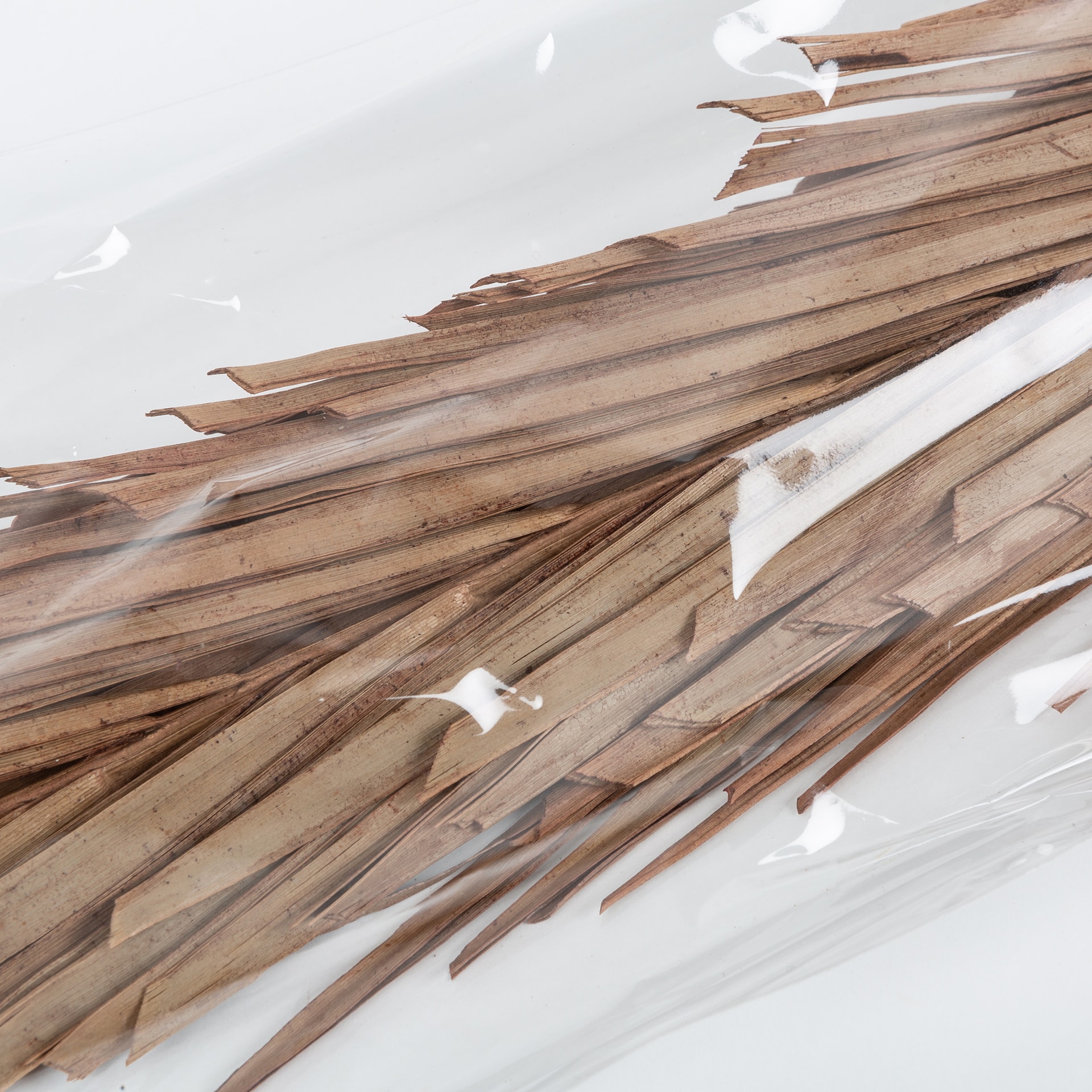 Ramas de flor seca 101cm