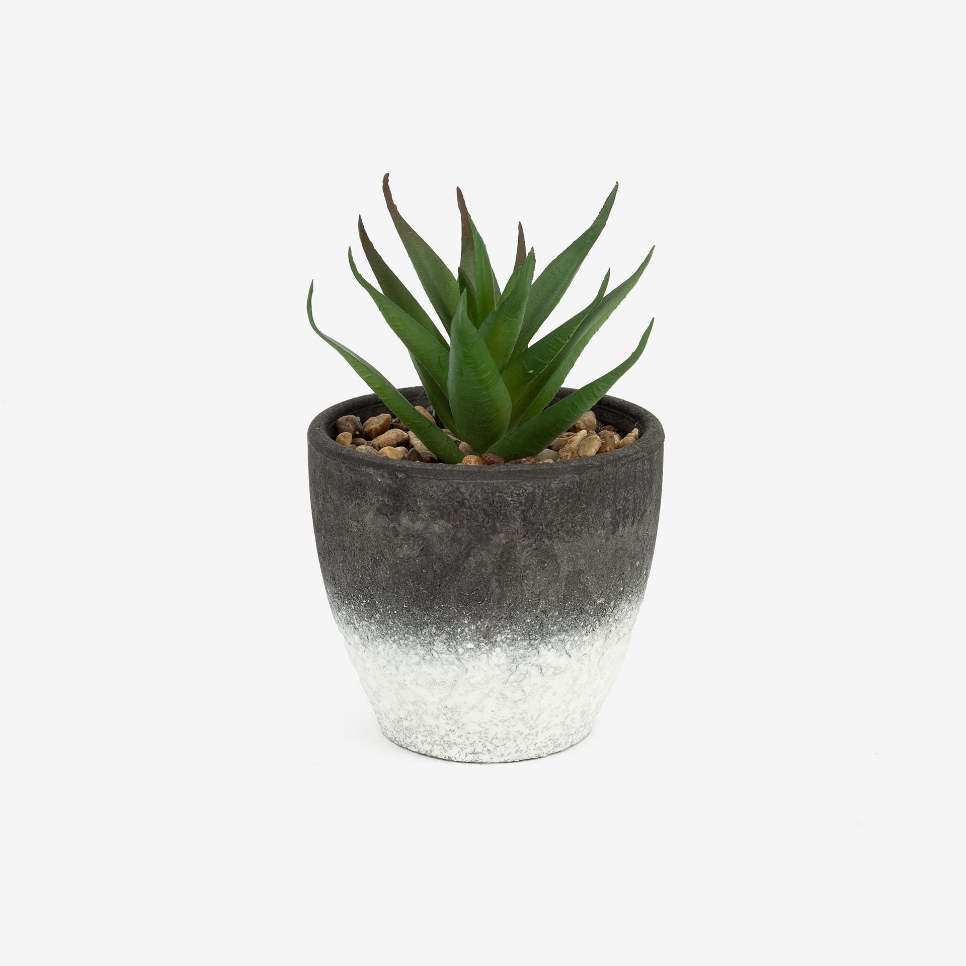 Cactus artificial en varios dise&ntilde;os 10cm