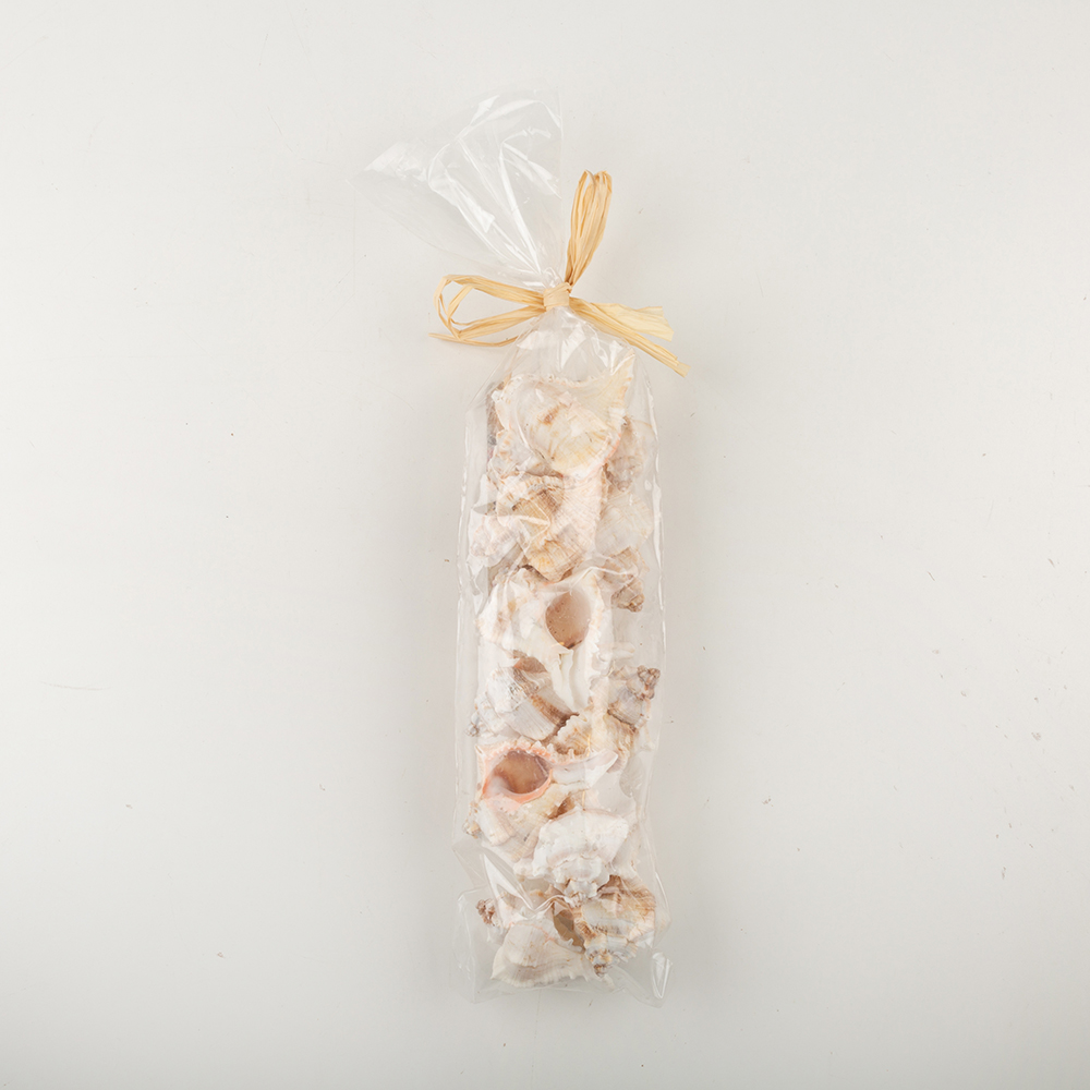 Bolsa caracolas decorativas