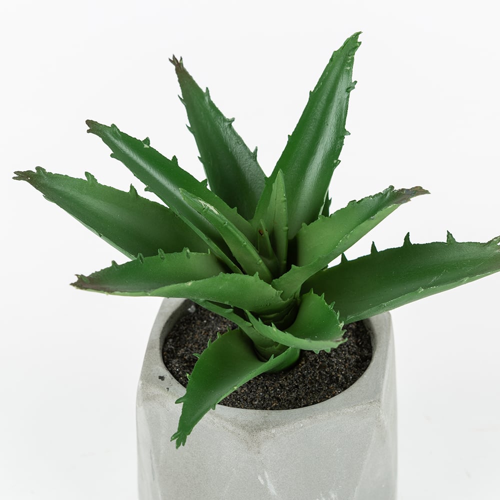 Cactus artificial en maceta Filifera 20cm