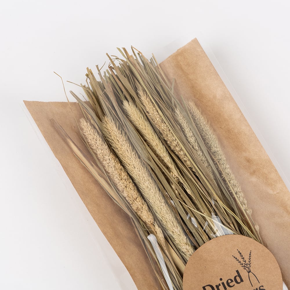 Ramo de ramas secas natural