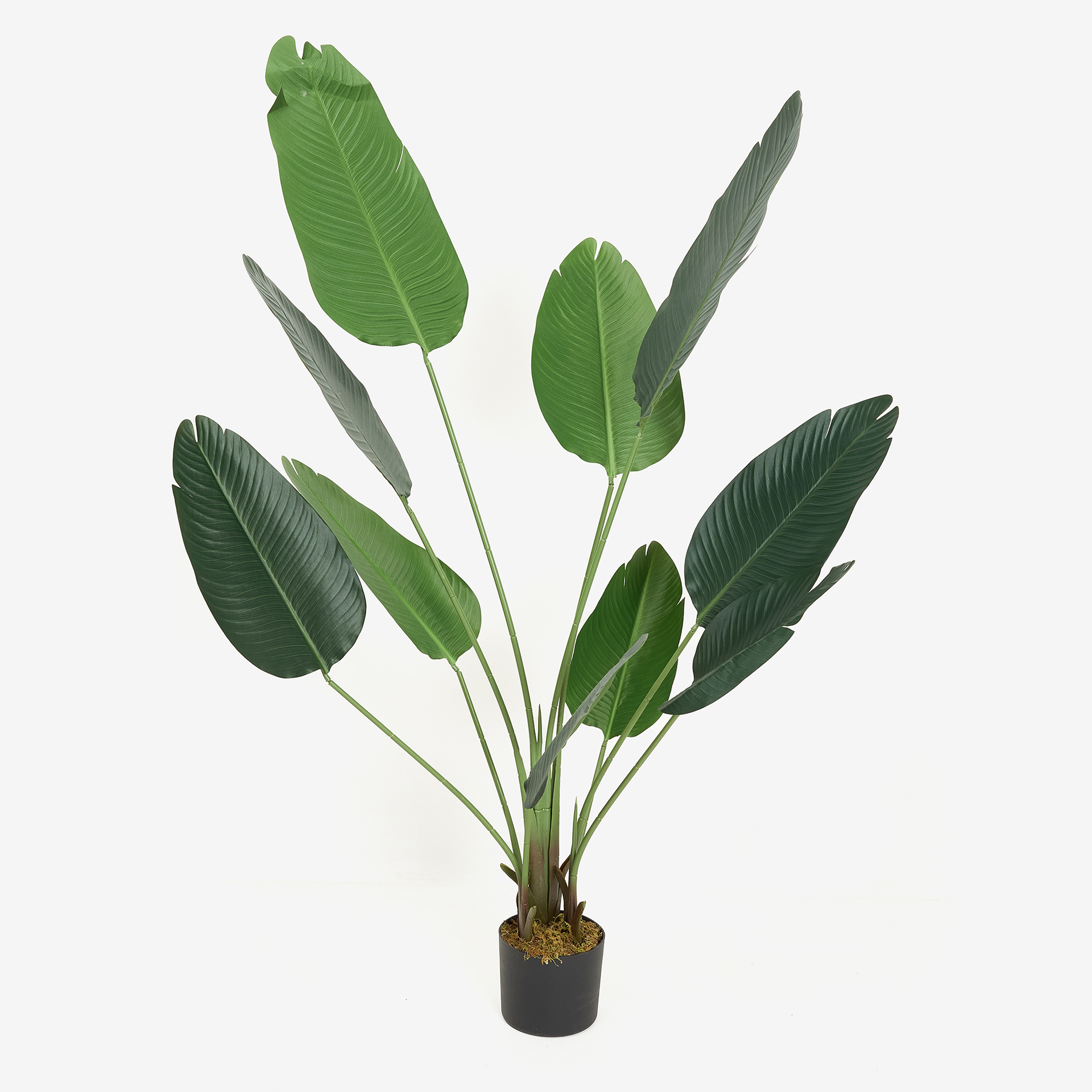 Planta artificial en maceta Platanero 160cm