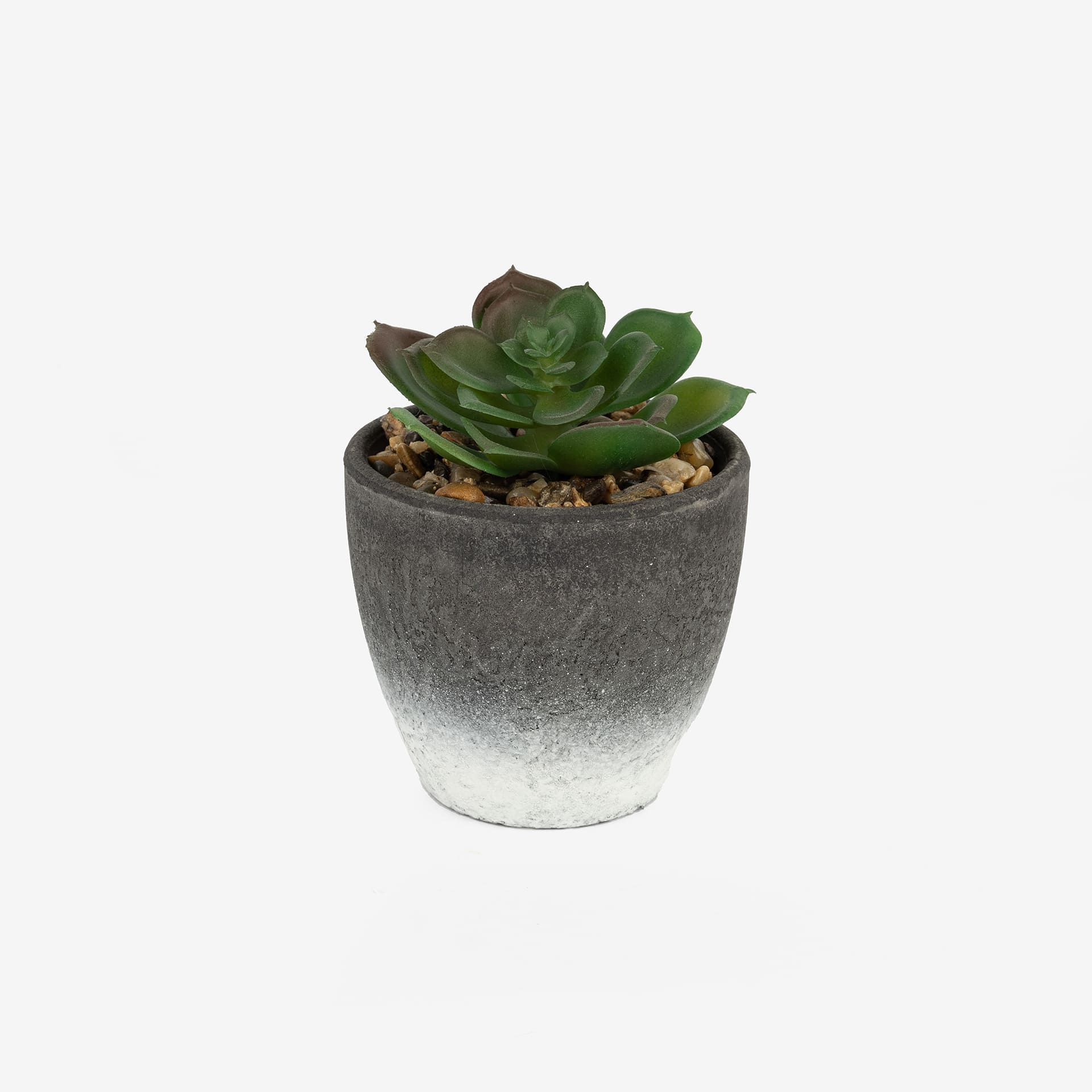 Cactus artificial en varios dise&ntilde;os 10cm